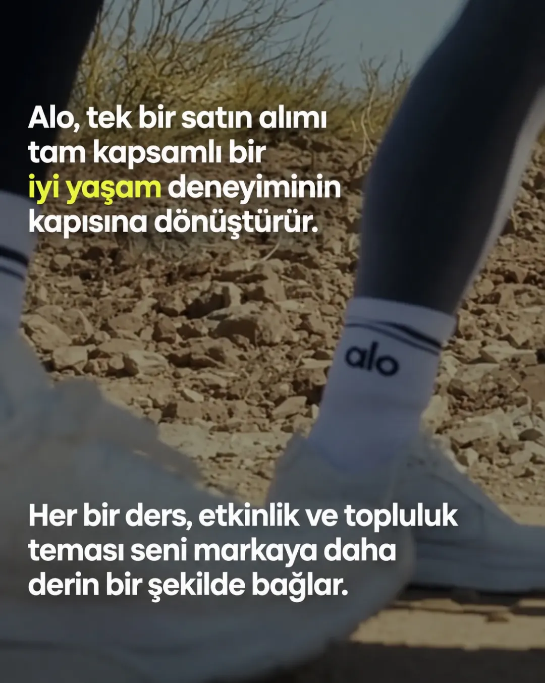 Tek satın alma → yaşam tarzı