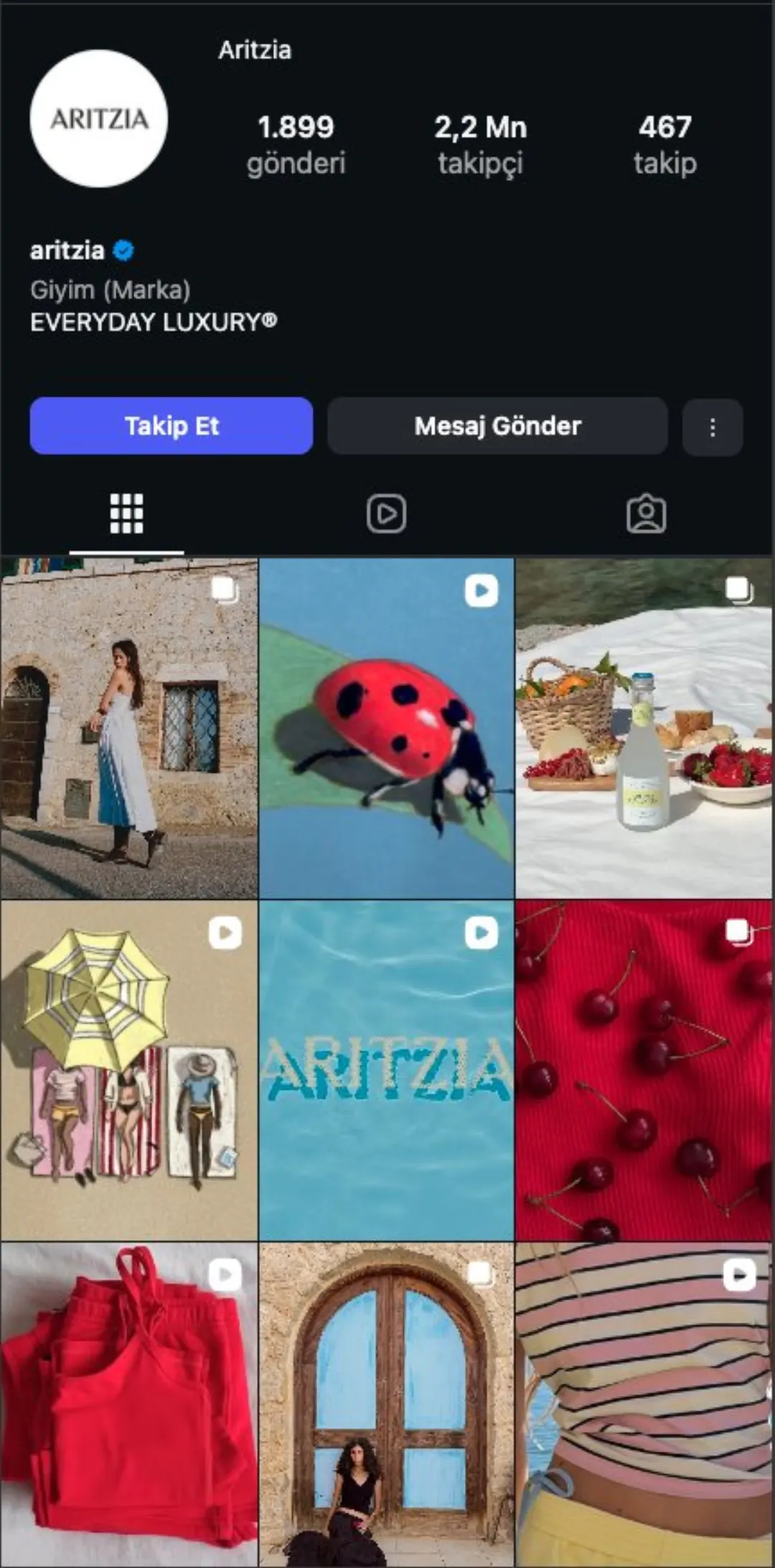 Aritzia Instagram profili (2,2M takipçi)