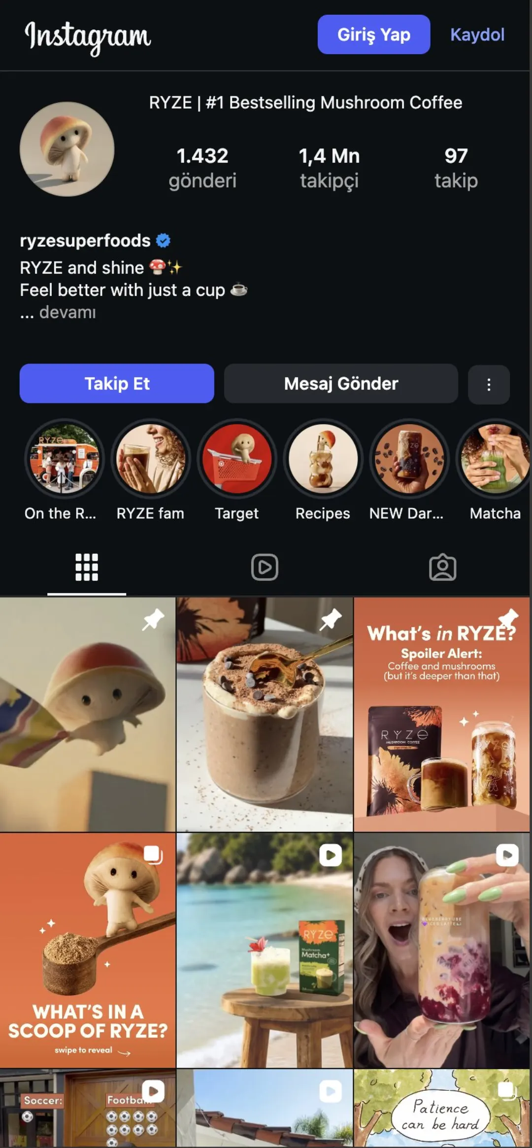 Ryze Instagram profili (maskotlu marka kimliği)